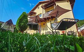 Alpine Bliss Sinaia